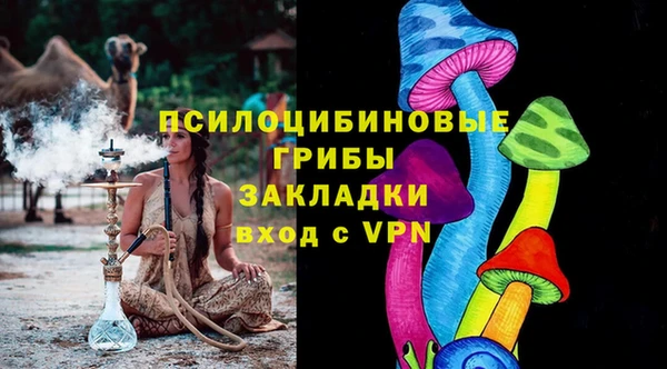метадон Алексин