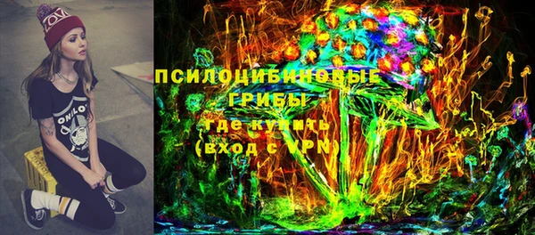 метадон Алексин