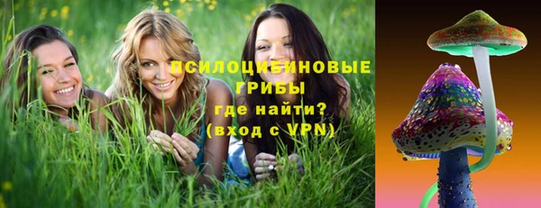 метадон Алексин