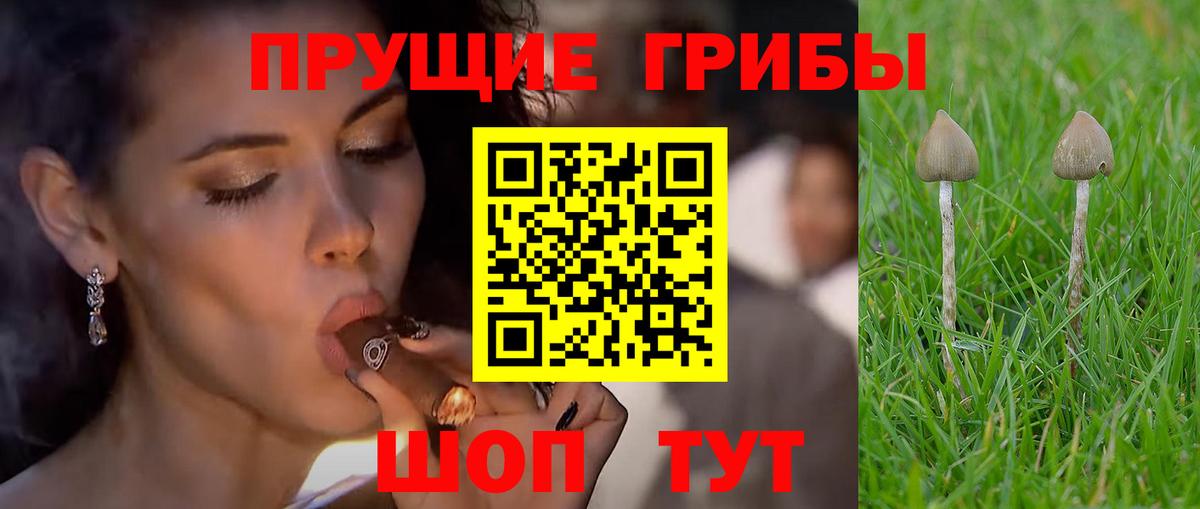 Галлюциногенные грибы мицелий  Псилоцибиновые грибы GOLDEN TEACHER  Кропоткин  Вход с VPN 