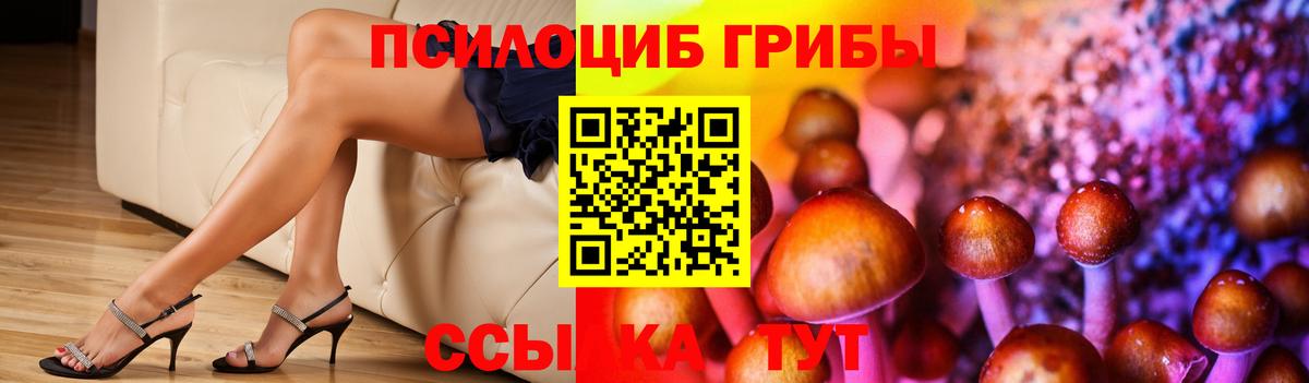 Галлюциногенные грибы мицелий Кропоткин